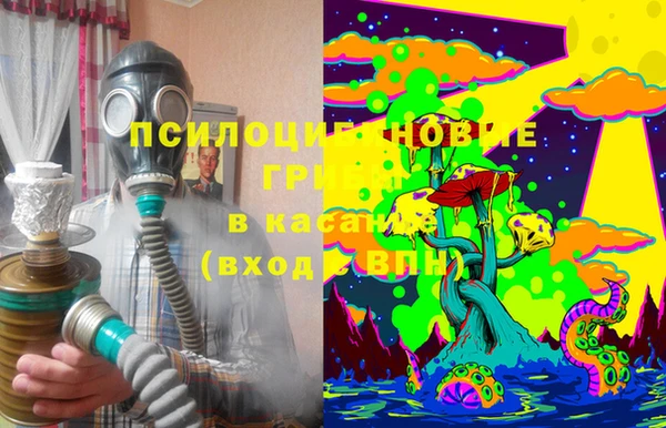 эйфоретик Михайлов