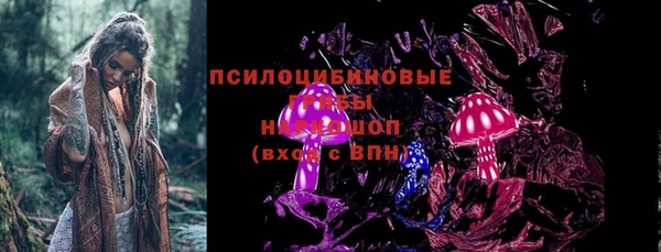 эйфоретик Михайлов