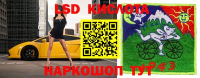 spice Бузулук