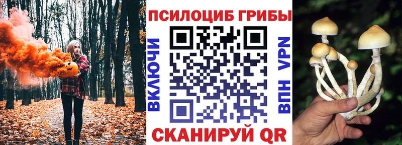 МЕГА вход  Елец  Псилоцибиновые грибы Psilocybe  даркнет сайт 