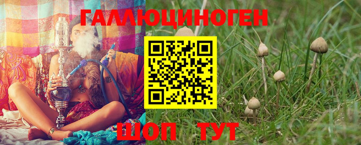 Елец  Псилоцибиновые грибы ЛСД  Вход с VPN 